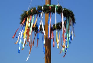 Maibaum medium