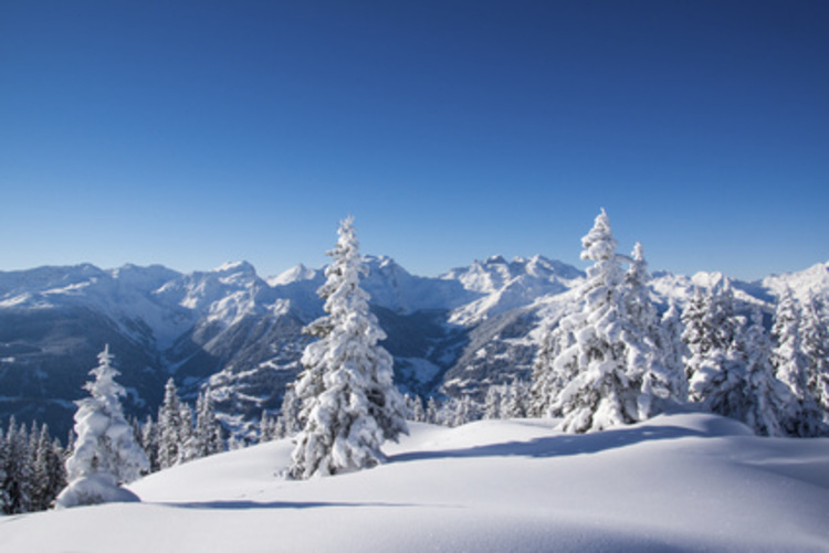 Schnee zu Weihnachten